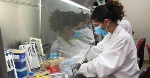 Cette étude détecte une forte réponse antivirale T contre COVID-19 chez des patients remis d'une forme modérée. Une immunité de bon augure pour le futur vaccin !(Visuel La Jolla Institute for Immunology) Cette étude détecte une forte réponse antivirale T contre COVID-19 chez des patients remis d'une forme modérée. Une immunité de bon augure pour le futur vaccin !(Visuel La Jolla Institute for Immunology)