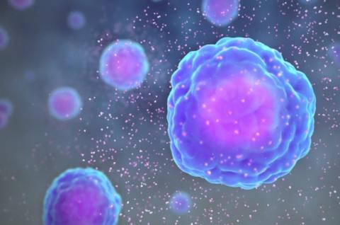 Ces protéines pourraient absorber ces cytokines en excès un peu comme une éponge. Ces protéines pourraient absorber ces cytokines en excès un peu comme une éponge.