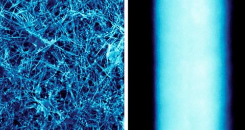 Un nouveau spray à base de nanofils de cuivre permet de lutter contre la propagation des maladies (Visuel : U.S. Department of Energy Ames National Laboratory) Un nouveau spray à base de nanofils de cuivre permet de lutter contre la propagation des maladies (Visuel : U.S. Department of Energy Ames National Laboratory)