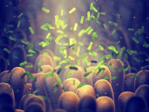 La propulsion du contenu intestinal est contrôlée par des millions de neurones situés dans la paroi de l'intestin, appelée système nerveux entérique ou « deuxième cerveau ». La propulsion du contenu intestinal est contrôlée par des millions de neurones situés dans la paroi de l'intestin, appelée système nerveux entérique ou « deuxième cerveau ».