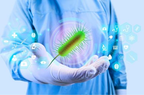Le nouveau dispositif Femannose attire E. coli avec du « faux » glucose et détourne ainsi la bactérie des détourne ainsi des glycoprotéines endogènes de la muqueuse urinaire (Visuel Adobe Stock 583260978). Le nouveau dispositif Femannose attire E. coli avec du « faux » glucose et détourne ainsi la bactérie des détourne ainsi des glycoprotéines endogènes de la muqueuse urinaire (Visuel Adobe Stock 583260978).