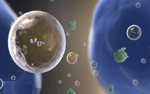 Il s’agit de petites particules appelées exosomes qui sont de petites vésicules (bulles) produites à l'intérieur des cellules, puis relâchées (Visuel NIH) Il s’agit de petites particules appelées exosomes qui sont de petites vésicules (bulles) produites à l'intérieur des cellules, puis relâchées (Visuel NIH)