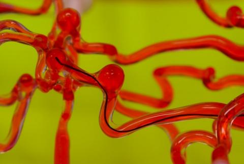 Ce fil robotique conçu pour glisser dans les vaisseaux sanguins du cerveau, à commande magnétique pourrait à la fois détecter les caillots et délivrer des médicaments en réponse à un accident vasculaire cérébral ou à d'autres blocages du cerveau Ce fil robotique conçu pour glisser dans les vaisseaux sanguins du cerveau, à commande magnétique pourrait à la fois détecter les caillots et délivrer des médicaments en réponse à un accident vasculaire cérébral ou à d'autres blocages du cerveau