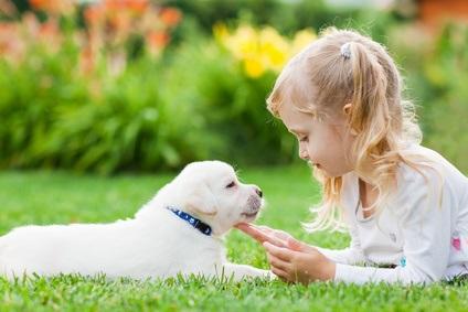Obesite Et Allergie Avoir Un Chien Les Previent Via Le Microbiome Chez Le Petit Enfant Sante Log