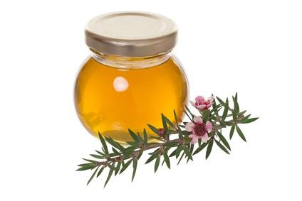 Les bienfaits du miel de Manuka