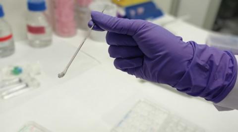 Ce nouveau biomatériau conçu pour le traitement et la récupération des blessures musculaires permet de régénérer un muscle endommagé en 2 fois moins de temps qu’au naturel (Visuel UPV). Ce nouveau biomatériau conçu pour le traitement et la récupération des blessures musculaires permet de régénérer un muscle endommagé en 2 fois moins de temps qu’au naturel (Visuel UPV).