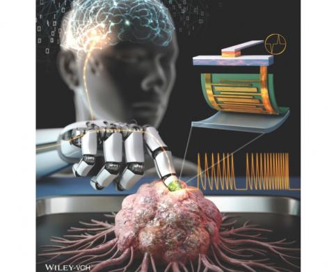 C'est un réseau neuronal artificiel tactile qui analyse et convertit rapidement et avec précision en données la rigidité d'une substance (Visuel Korea Institute of Science and Technology - KIST) C'est un réseau neuronal artificiel tactile qui analyse et convertit rapidement et avec précision en données la rigidité d'une substance (Visuel Korea Institute of Science and Technology - KIST)