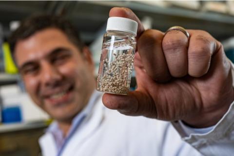 L’auteur principal, Omid Veiseh, bio-ingénieur à l'Université Rice a développé ces implants en forme de billes contenant l’immunothérapie (Visuel Jeff Fitlow/Rice University) L’auteur principal, Omid Veiseh, bio-ingénieur à l'Université Rice a développé ces implants en forme de billes contenant l’immunothérapie (Visuel Jeff Fitlow/Rice University)