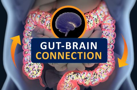 Jusqu’à maintenant, personne n'a encore compris comment les MICI et d'autres affections gastro-intestinales chroniques influent sur le comportement et la santé mentale Jusqu’à maintenant, personne n'a encore compris comment les MICI et d'autres affections gastro-intestinales chroniques influent sur le comportement et la santé mentale