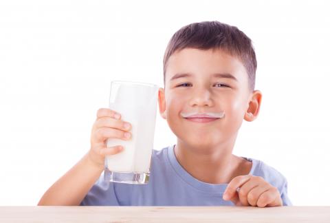 Choisir des produits laitiers allégés ou écrémés n'est pas nécessairement le meilleur choix pour les enfants (Visuel Les Produits Laitiers) Choisir des produits laitiers allégés ou écrémés n'est pas nécessairement le meilleur choix pour les enfants (Visuel Les Produits Laitiers)
