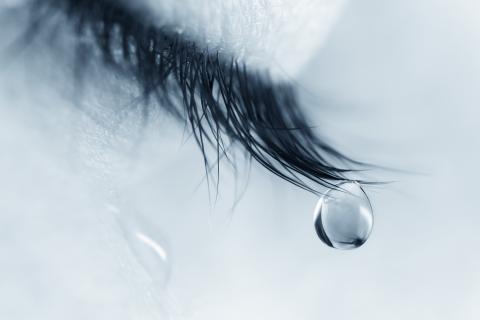 Il est peu probable que les patients infectés puissent transmettre le virus par leurs larmes Il est peu probable que les patients infectés puissent transmettre le virus par leurs larmes
