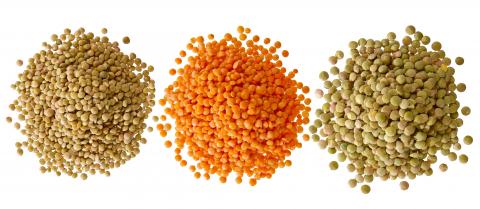 Consommer des flageolets, des lentilles, des pois et d’autres légumineuses réduit le risque de maladies cardiovasculaires, de maladies coronariennes et d’hypertension artérielle Consommer des flageolets, des lentilles, des pois et d’autres légumineuses réduit le risque de maladies cardiovasculaires, de maladies coronariennes et d’hypertension artérielle