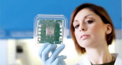 Le nombre de cellules tumorales circulantes a son utilité clinique dans le traitement et le suivi du cancer du sein métastatique (Visuel Menarini Silicon Biosystems). Le nombre de cellules tumorales circulantes a son utilité clinique dans le traitement et le suivi du cancer du sein métastatique (Visuel Menarini Silicon Biosystems).