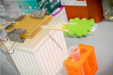 Plus le fluide se déplace rapidement, plus la pression subie par les cellules est élevée Plus le fluide se déplace rapidement, plus la pression subie par les cellules est élevée