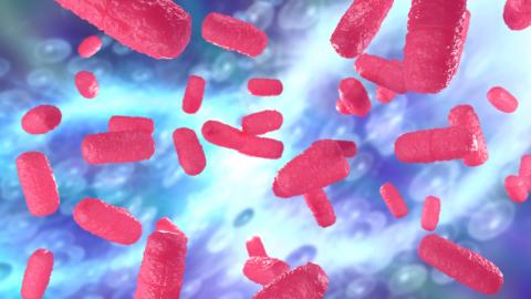 Transplantation du MICROBIOTE FÉCAL : Nouveau succès contre C ...