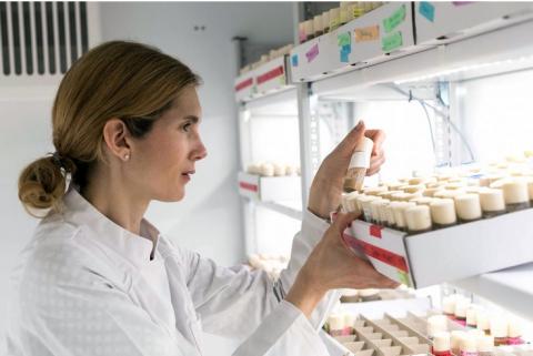 Le Dr Ilona C. Grunwald Kadow, professeur en neurobiologie a créé un contexte de laboratoire qui permet de mieux comprendre les mécanismes de la motivation chez la mouche Le Dr Ilona C. Grunwald Kadow, professeur en neurobiologie a créé un contexte de laboratoire qui permet de mieux comprendre les mécanismes de la motivation chez la mouche