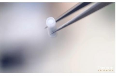 Administrer automatiquement le médicament qui inverse la surdose d'opioïdes, c’est la fonction de ce dispositif portable innovant Administrer automatiquement le médicament qui inverse la surdose d'opioïdes, c’est la fonction de ce dispositif portable innovant