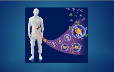 Cette nouvelle technologie microfluidique permet en effet de produire ces micro-organosphères (MOS) à partir de biopsies de patients cancéreux en seulement une heure (Visuel Cell Stem Cell). Cette nouvelle technologie microfluidique permet en effet de produire ces micro-organosphères (MOS) à partir de biopsies de patients cancéreux en seulement une heure (Visuel Cell Stem Cell).