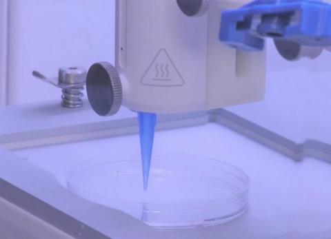 L'impression en 3D de peau vivante "prééquipée" de ses vaisseaux sanguins L'impression en 3D de peau vivante "prééquipée" de ses vaisseaux sanguins