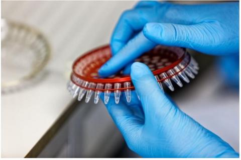 Ces antidépresseurs, les inhibiteurs de monoamine oxydase (IMAO) peuvent activer et soutenir le système immunitaire dans sa lutte contre différents types de tumeurs (Visuel Fotolia) Ces antidépresseurs, les inhibiteurs de monoamine oxydase (IMAO) peuvent activer et soutenir le système immunitaire dans sa lutte contre différents types de tumeurs (Visuel Fotolia)