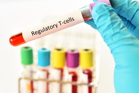 Les acides biliaires contribuent à réguler l'immunité et l'inflammation intestinales Les acides biliaires contribuent à réguler l'immunité et l'inflammation intestinales