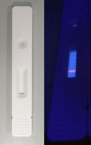 De très nombreuses pistes de tests sérologiques sont actuellement poursuivies, avec l’objectif non seulement de permettre à chacun de connaître son statut immunologique face au COVID-19, mais aussi d’avoir une idée plus précise de l’immunisation globale De très nombreuses pistes de tests sérologiques sont actuellement poursuivies, avec l’objectif non seulement de permettre à chacun de connaître son statut immunologique face au COVID-19, mais aussi d’avoir une idée plus précise de l’immunisation globale