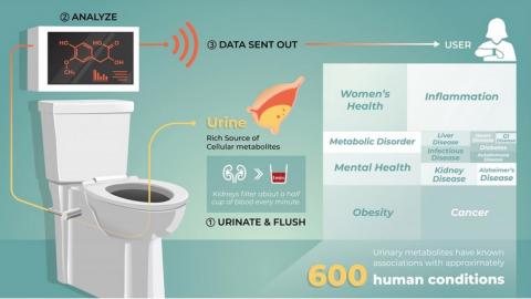 Pourquoi ne pas développer des « toilettes intelligentes » capables d’apporter ces données sur la santé ? Pourquoi ne pas développer des « toilettes intelligentes » capables d’apporter ces données sur la santé ?