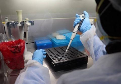 5 vaccins candidats en cours d’essai clinique, 71 vaccins candidats en cours d’évaluation préclinique 5 vaccins candidats en cours d’essai clinique, 71 vaccins candidats en cours d’évaluation préclinique