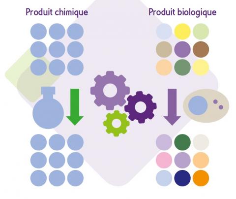 Les médicaments chimiques diffèrent des médicaments biologiques car produits par synthèse chimique, ils sont constitués d’une population moléculaire homogène et reproductible du même principe actif (Source ANSM) Les médicaments chimiques diffèrent des médicaments biologiques car produits par synthèse chimique, ils sont constitués d’une population moléculaire homogène et reproductible du même principe actif (Source ANSM)