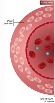 La dysfonction érectile est présentée ici comme le signe avant-coureur d’une maladie cardiovasculaire précoce silencieuse La dysfonction érectile est présentée ici comme le signe avant-coureur d’une maladie cardiovasculaire précoce silencieuse