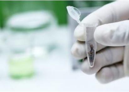 Cette étude révèle un vrai potentiel antibiotique du cannabis, ignoré jusqu’à ce jour Cette étude révèle un vrai potentiel antibiotique du cannabis, ignoré jusqu’à ce jour