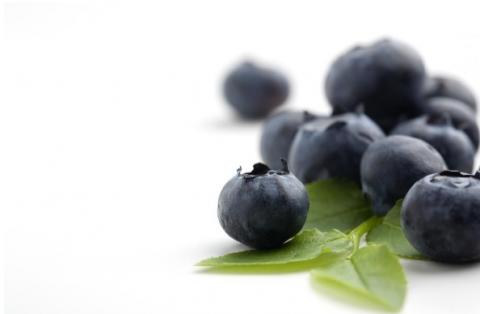 De nombreuses études ont déjà montré les effets bénéfiques, métaboliques et neuroprotecteurs de ces pigments spécifiques aux baies, dont la myrtille, le cassis et l'airelle, les anthocyanes. De nombreuses études ont déjà montré les effets bénéfiques, métaboliques et neuroprotecteurs de ces pigments spécifiques aux baies, dont la myrtille, le cassis et l'airelle, les anthocyanes.