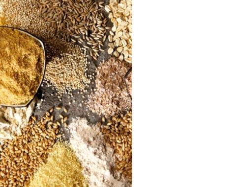 Les céréales complètes constituent l'un des groupes alimentaires les plus importants pour prévenir le diabète de type 2 Les céréales complètes constituent l'un des groupes alimentaires les plus importants pour prévenir le diabète de type 2