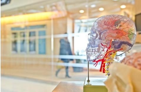 Alors qu’environ un tiers des patients épileptiques ne répondent pas bien aux médicaments antiépileptiques (épilepsie réfractaire), il existe un besoin important de nouveaux traitements. Alors qu’environ un tiers des patients épileptiques ne répondent pas bien aux médicaments antiépileptiques (épilepsie réfractaire), il existe un besoin important de nouveaux traitements.