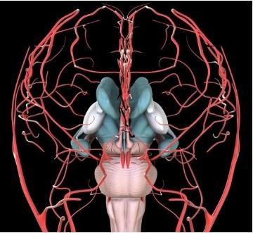 Les patients atteints de fibromyalgie présentent des anomalies du flux sanguin cérébral Les patients atteints de fibromyalgie présentent des anomalies du flux sanguin cérébral