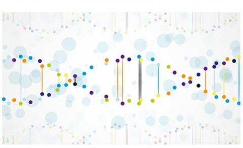 On les appelle les mutations en mosaïque car elles ne sont identifiées que dans une partie des cellules du patient. On les appelle les mutations en mosaïque car elles ne sont identifiées que dans une partie des cellules du patient.
