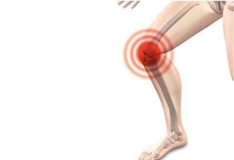 C’est un nouveau « lubrifiant » : il est synthétique et prometteur pour soulager les articulations en cas d’arthrose du genou. C’est un nouveau « lubrifiant » : il est synthétique et prometteur pour soulager les articulations en cas d’arthrose du genou.