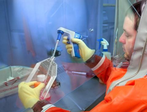 Chez les animaux sauvages, le facteur le plus important pour la diversité et la prévalence du virus de l'influenza A est un régime alimentaire à base d’oiseaux. Chez les animaux sauvages, le facteur le plus important pour la diversité et la prévalence du virus de l'influenza A est un régime alimentaire à base d’oiseaux.