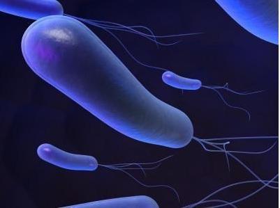 La bactérie Helicobacter pylori peut provoquer chez la personne infectée une gastrite chronique à vie, l’ulcère de l'estomac et du duodénum et le cancer gastrique. La bactérie Helicobacter pylori peut provoquer chez la personne infectée une gastrite chronique à vie, l’ulcère de l'estomac et du duodénum et le cancer gastrique.