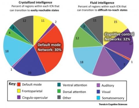  Crystallised intelligence et Fluid intelligence.