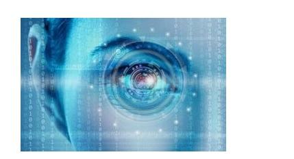 Dans plusieurs maladies neurologiques ou des fibres nerveuses, dont la fibromyalgie ou la sclérose en plaques, l’œil est suggéré comme une fenêtre possible ouverte sur le cerveau, qui va permettre la détection plus précoce de la maladie. Dans plusieurs maladies neurologiques ou des fibres nerveuses, dont la fibromyalgie ou la sclérose en plaques, l’œil est suggéré comme une fenêtre possible ouverte sur le cerveau, qui va permettre la détection plus précoce de la maladie.