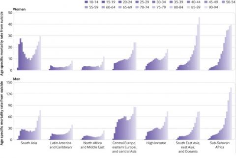 Les taux de mortalité par suicide normalisés selon l'âge ont diminué depuis 1990, mais le suicide reste un facteur majeur de mortalité dans le monde. Les taux de mortalité par suicide normalisés selon l'âge ont diminué depuis 1990, mais le suicide reste un facteur majeur de mortalité dans le monde.