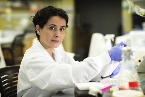 Pourquoi, avec une prescription, les médecins devraient nous apporter des recommandations nutritionnelles (Visuel Dan Addison | UVA Communications) Pourquoi, avec une prescription, les médecins devraient nous apporter des recommandations nutritionnelles (Visuel Dan Addison | UVA Communications)