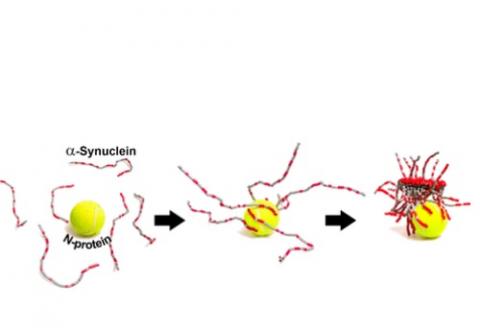 Visuel ACS Chemical Neuroscience