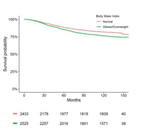 Un IMC plus élevé ainsi indépendamment associé à une survie réduite dans l'EBC et paradoxalement dans l'ABC un IMC plus élevé est indépendamment associé à une amélioration de la survie (Visuel npj Breast Cancer).