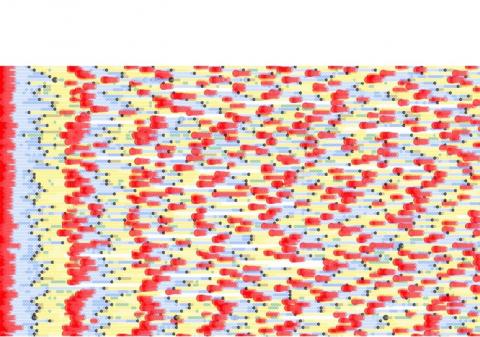 visuel : chaque ligne est un utilisateur, chaque point est un jour. Les couleurs des points correspondant à différents états biologiques