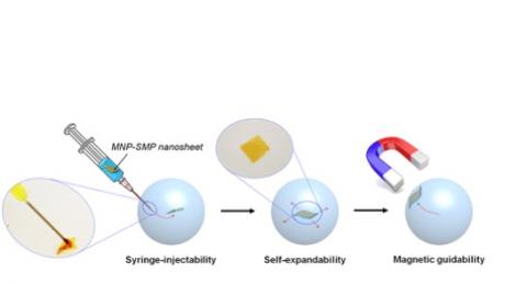 Les nanofeuilles peuvent être adaptées à la délivrance de médicaments et au diagnostic