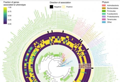 L'analyse des « big data » via les sciences computationnelles permet aujourd’hui de travailler à partir du grand nombre de gènes microbiens qui résident dans le corps humain, et de démêler la complexité de l'interaction entre les maladies humaines et le microbiome humain (Visuel Nature Communications)