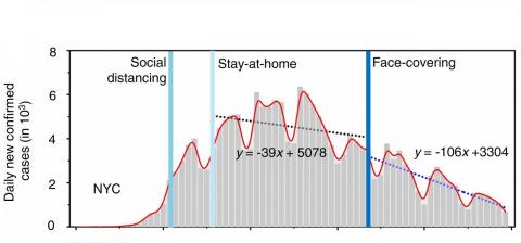 Evolution de COVID-19 à New York (Visuel PNAS)