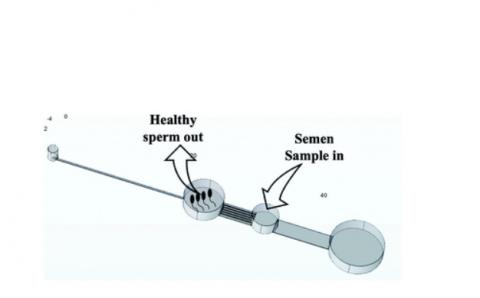 La nouvelle technique par puce livre dans sa chambre de collecte, des spermatozoïdes présentant une motilité significativement plus élevée (Visuel Analyst)